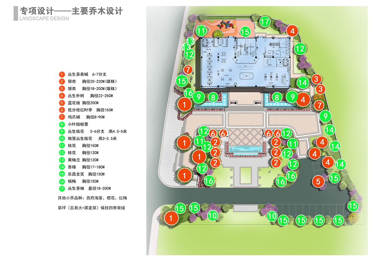 4.01  主要喬木設(shè)計.jpg